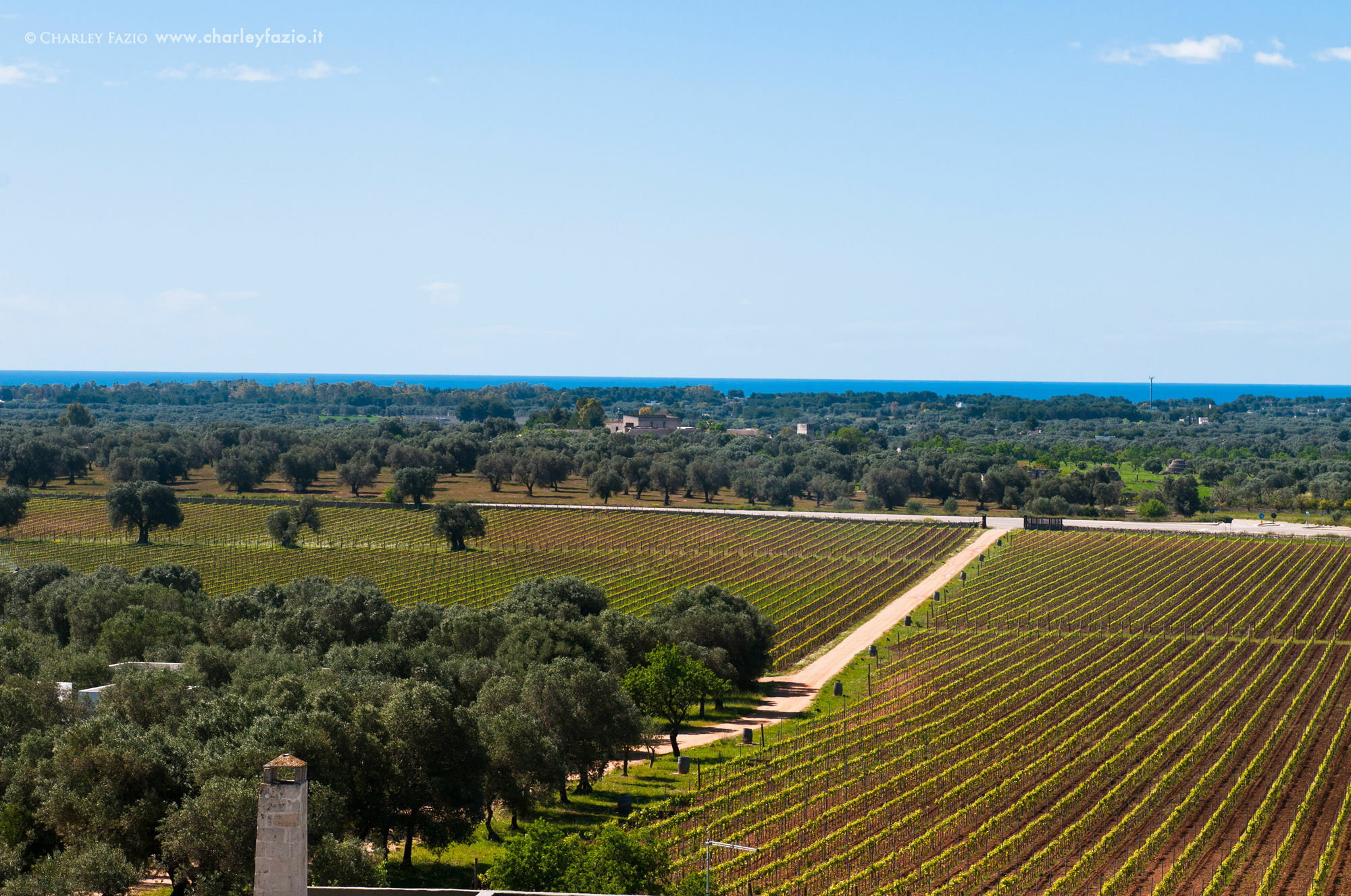 Masseria Le Fabriche Maruggio Exterior foto